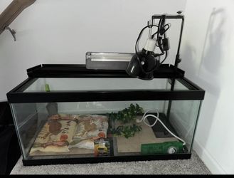 40 Gallon Reptile Tank