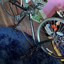 Specialized BIKE