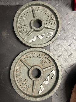 Cast iron plates 25 pounds(2)