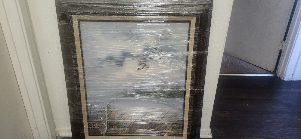 Flying Ducks Art Frame