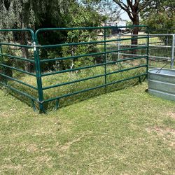 Horse Panels 