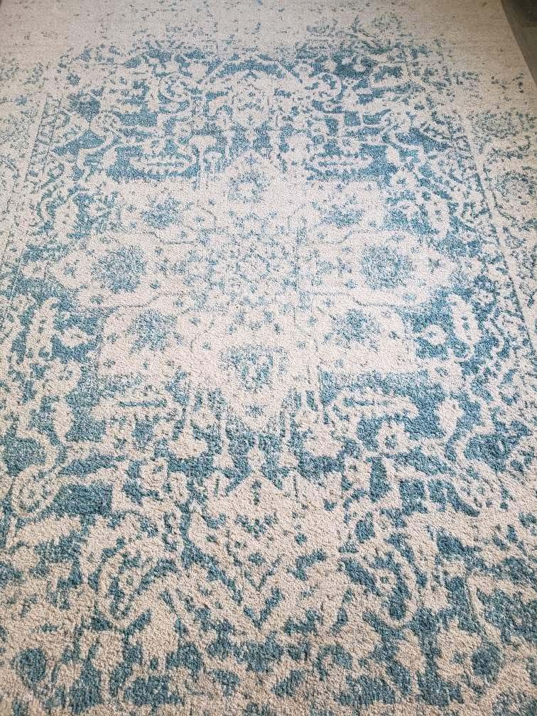 Large Area Rug-Great Condition