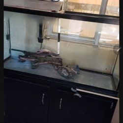 75 Gallon Fish Tank 