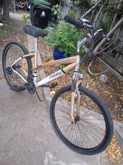 BIKE FOR PARTS $10 PICK UP IN SUN VALLEY
