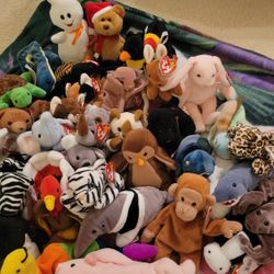 Beanie Babies! Original Owner!