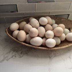 1 Dozen For Eight  Dollars