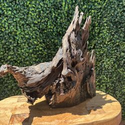 Driftwood For Aquascape