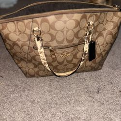 Coach Bag 