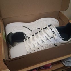 Lacoste Shoes