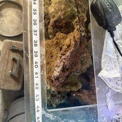100 Gallon Tank Filled With Cured Live Rock (tank Included)