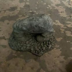 Rock For Reptile