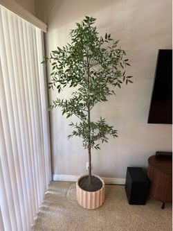 7’ Faux Shady Lady Tree in Ceramic Pot – Studio McGee for Target – $130 OBO