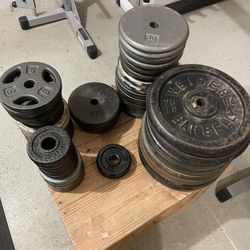 Standard 1in Weight Plates