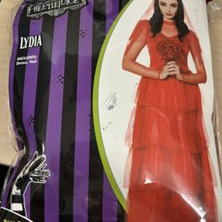 Halloween Costume - Lydia Deetz