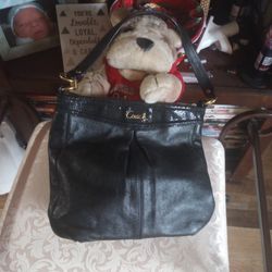 Coach Hippie Handbag