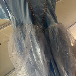 Cinderella Dress 