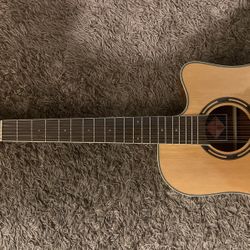 Dynamo 12 string guitar