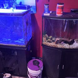 Moving, need to go, make me an offer