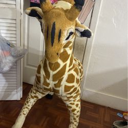  Tall Giraffe