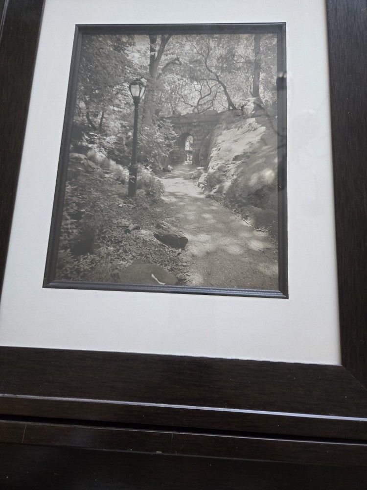 Pictures by Sondra Wompler