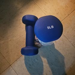 2-5lb Hand Weights