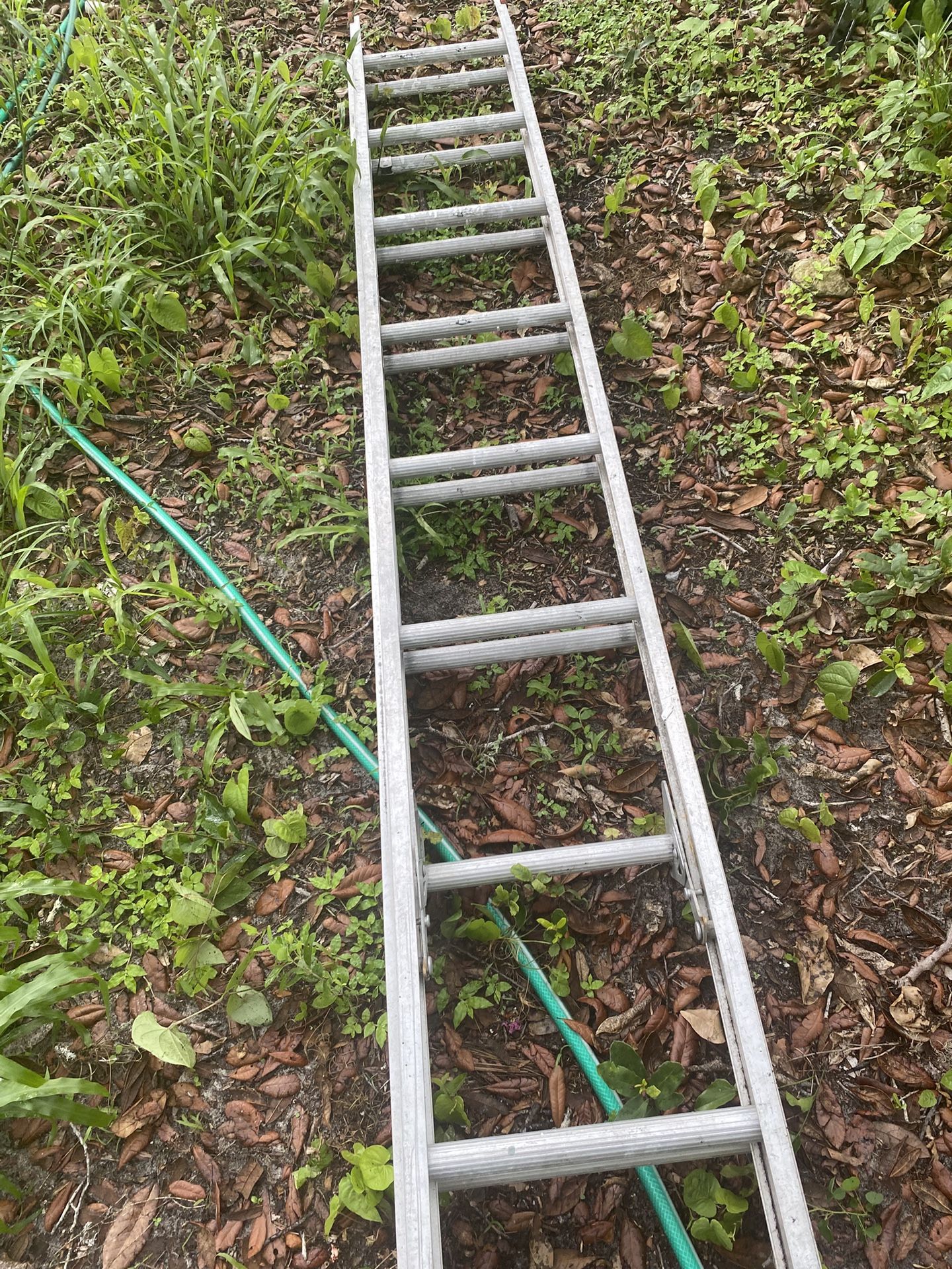 16ft Extension Ladder
