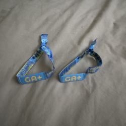 x2 EDC Las Vegas Wristbands GA+