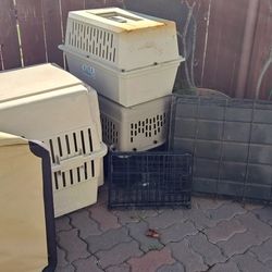 Dog Crates