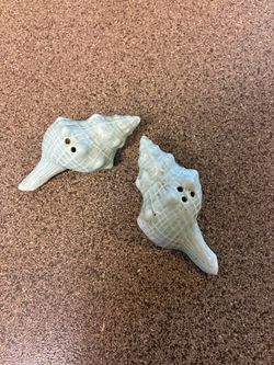 Salt and pepper shakers shells