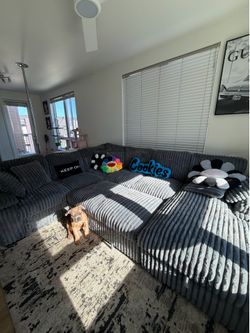 Fuzzy couch