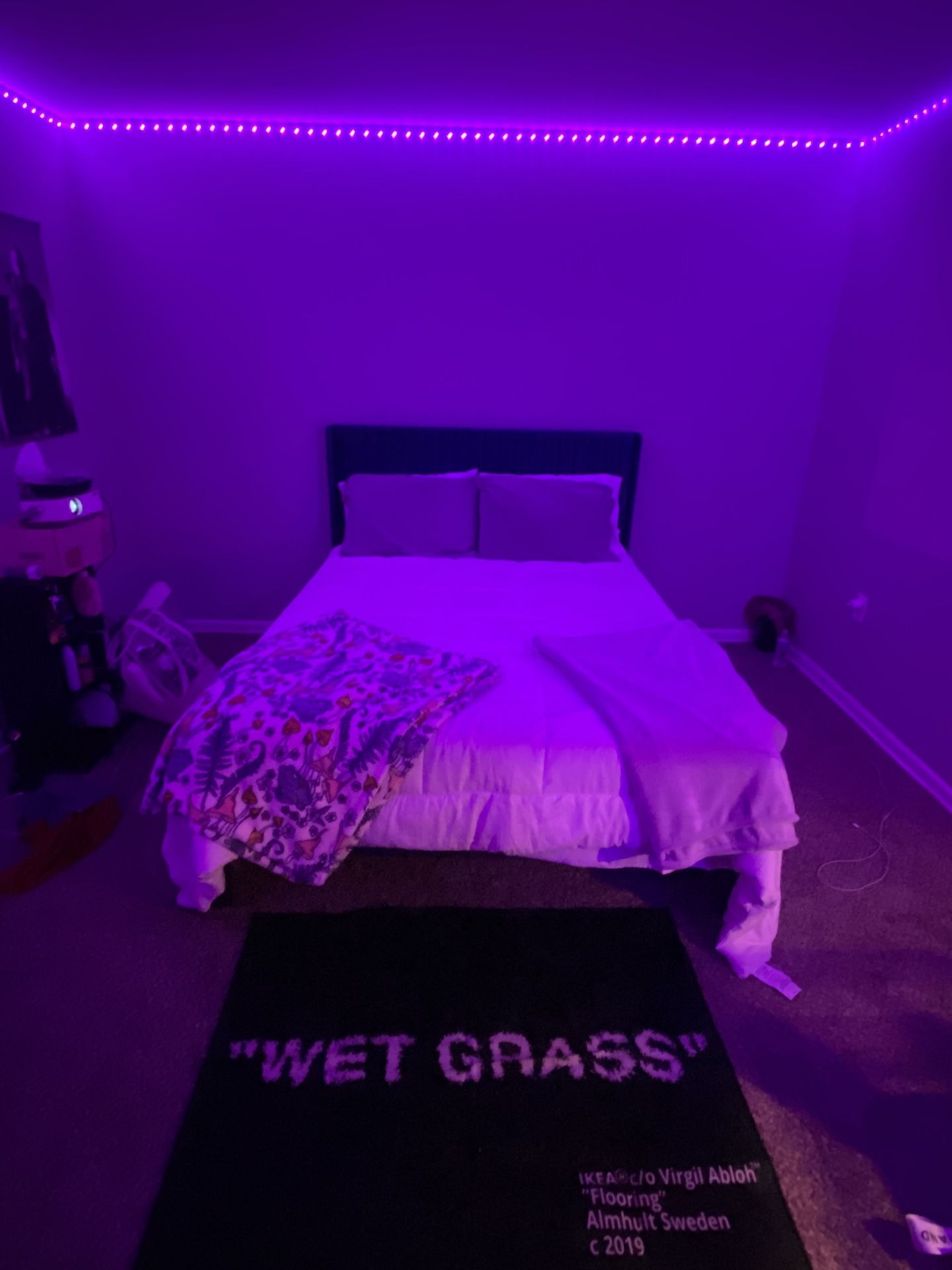 Queen Mattress With  Bed Frame