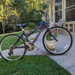 24" Raleigh M20 Bicycle