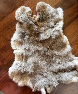 Rabbit Fur