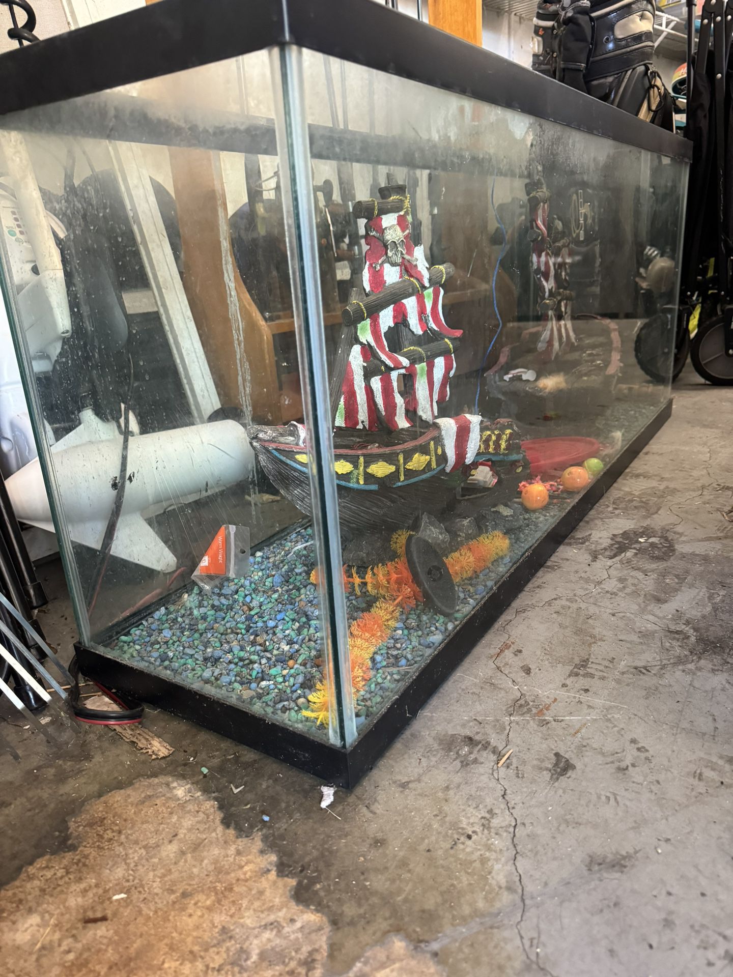 55 Gallon Tank With Pirate Ship