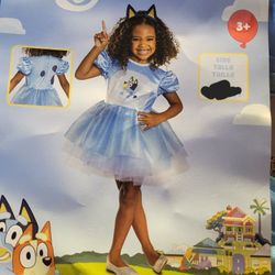Girl Bluey Halloween costume   2T,  3T/4T 