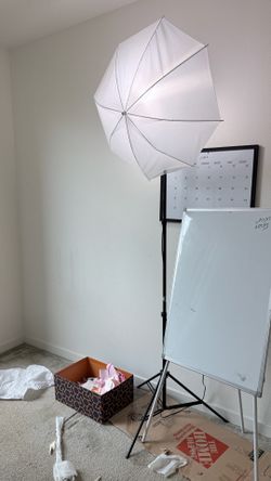 Studio soft lights with bulbs
