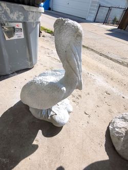 Pelican On Several Rocks