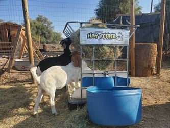 Hay Feeder for farm animals pets