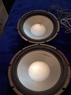 2 twelve inch no brand speakers