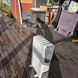 Said Radiator Heater 