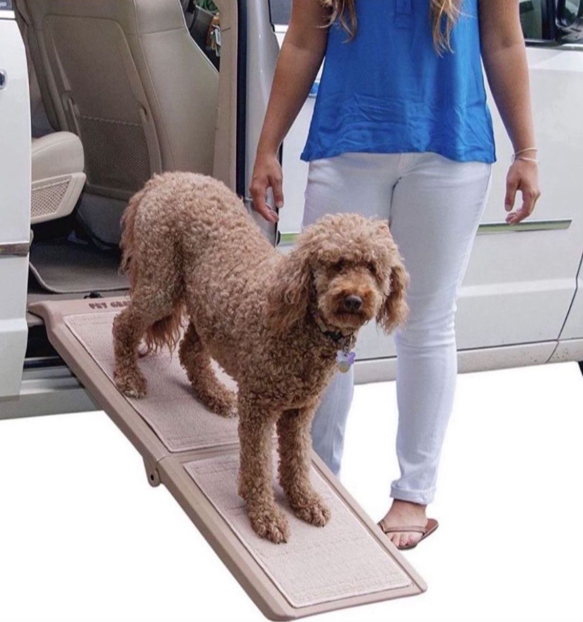 Pet Gear Folding Dog Ramp