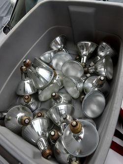 light bulbs