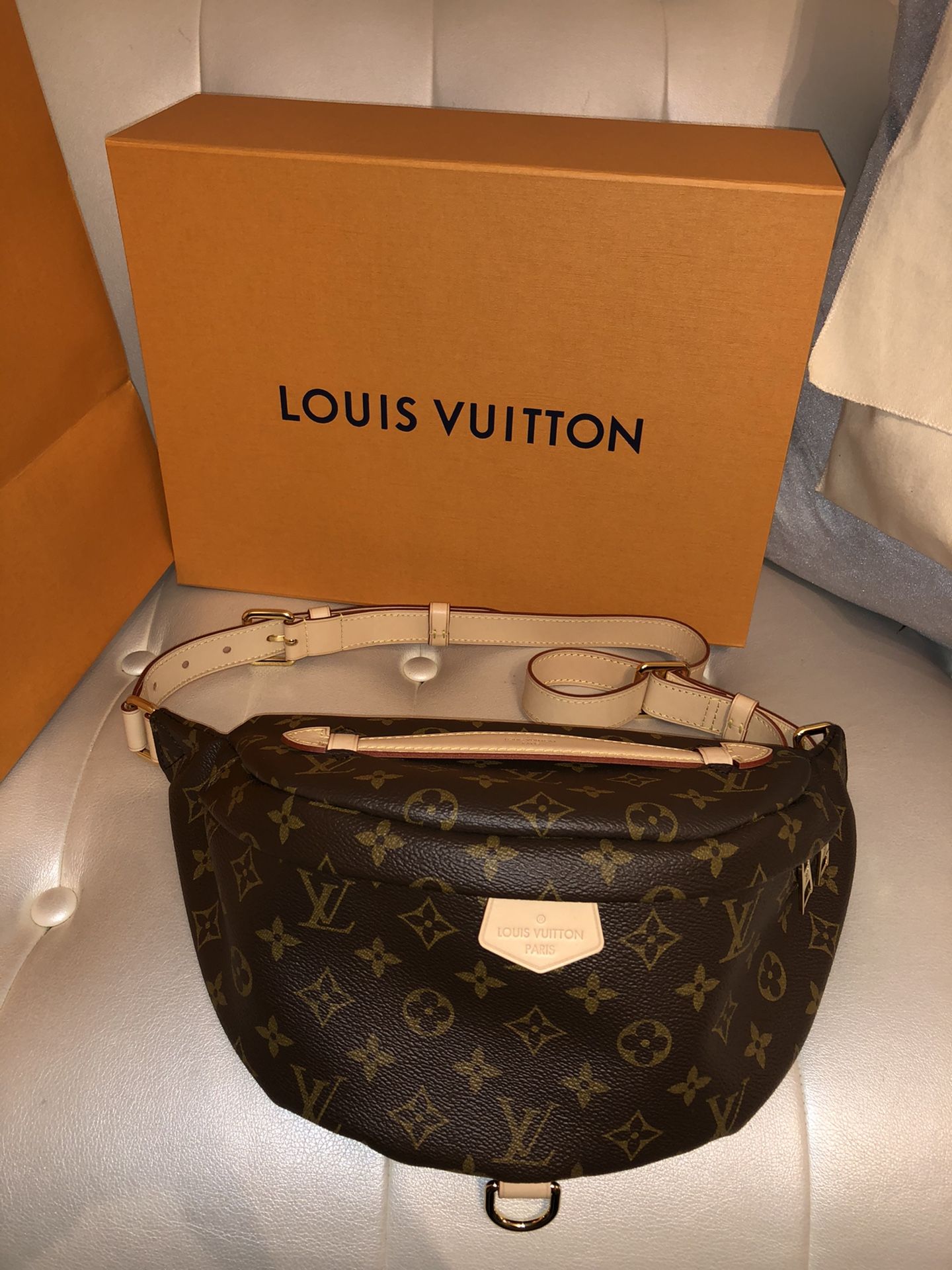 Louis Vuitton Bum Bag (authentic with box, dust bag, & receipt)