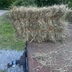 First Cut Hay