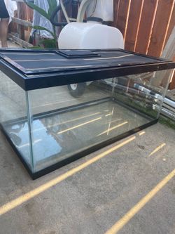 FISH TANK