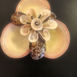 Vintage Med Century Modern Sea Shall Jewelry And Other Valuable Trinkets 