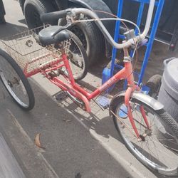 Bike Of Three Wheels(Trike)