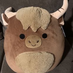 Squishmallows 16’’