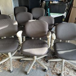 Office Chairs (8 remaining)