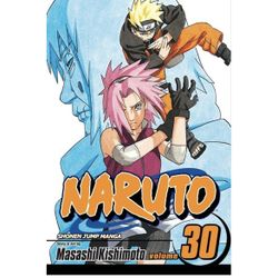Naruto, Vol. 30: Puppet Masters Book